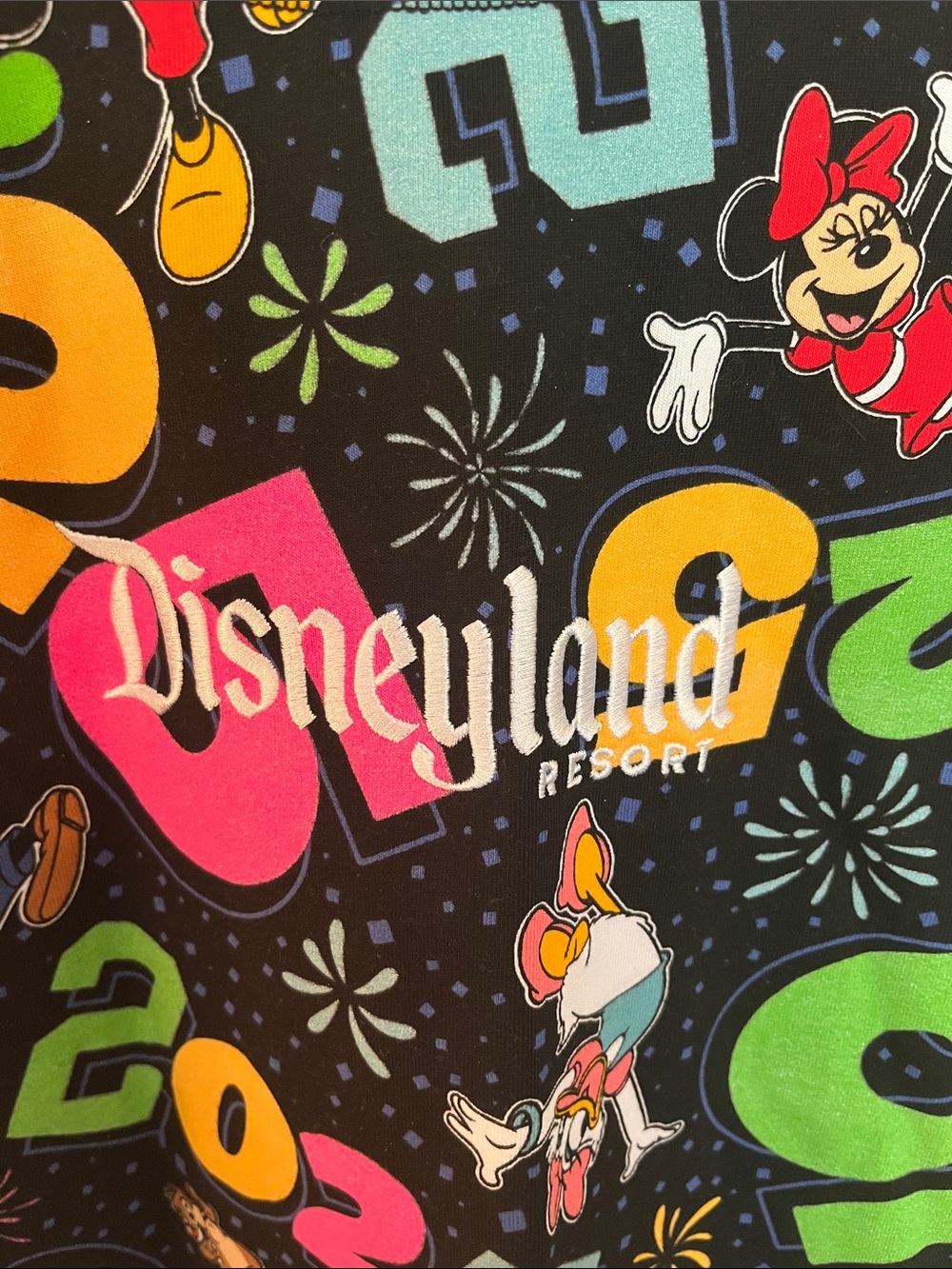 NWT Disneyland Resort Character 2025 Sweatshirt - Picture 2 of 7
